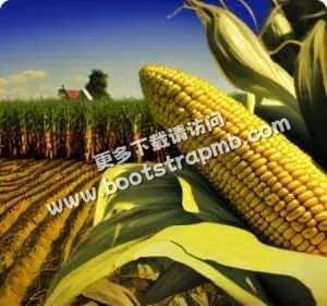 安全下载，畅快体验 - 九游游戏